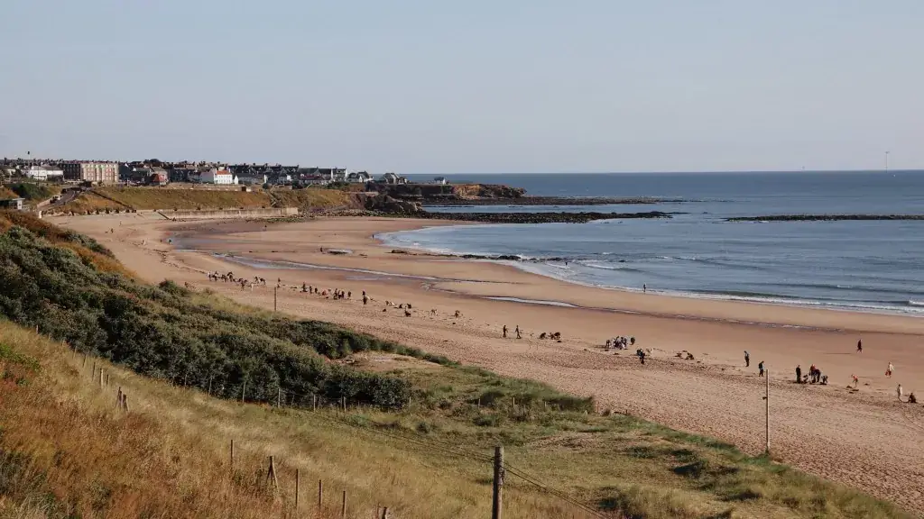 Wide view of many volunteers cleaning along the shoreline