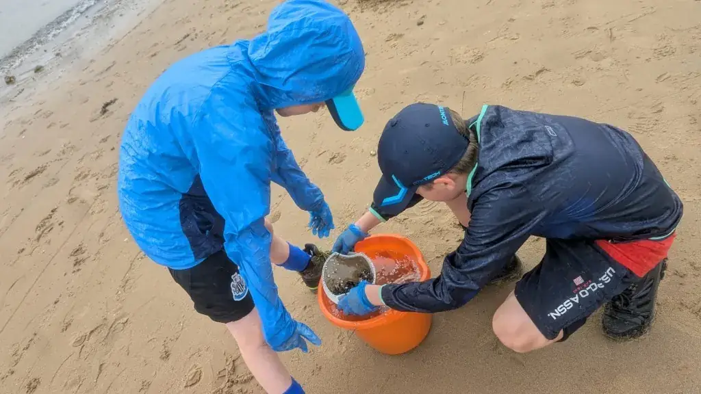 Two young volunteers filtering nurdles with a sieve over an orange bucket of seawater