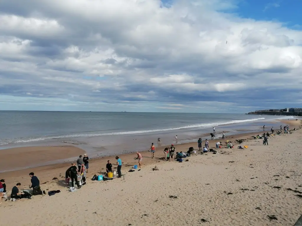 Large group of volunteers cleaning along the high tide line under a cloudy sky