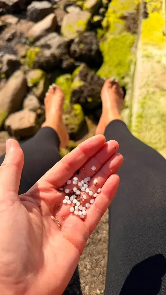 Open hand holding a cluster of white nurdles on a rocky beach