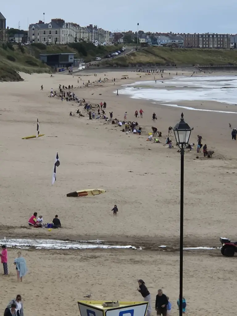 Long line of volunteers working along the tide mark on a wide sandy beach