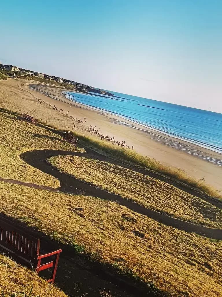 Wide view of Longsands Beach with volunteers dotted along the shore