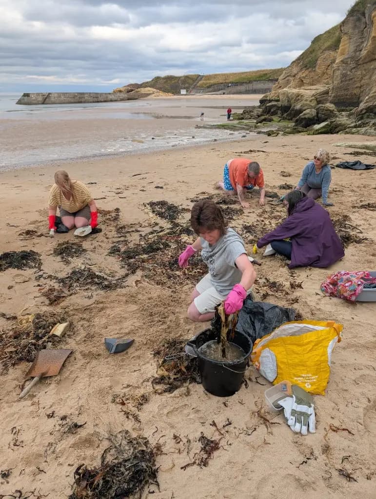 Volunteers rinsing seaweed and collecting nurdles near rocky cliffs