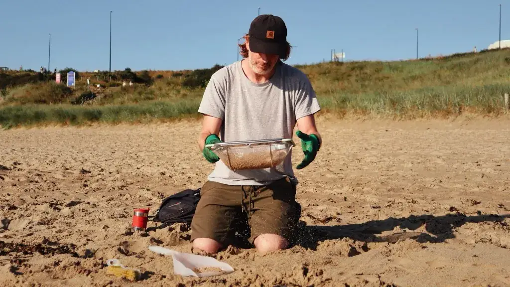 Volunteer kneeling on the beach filtering sand through a metal sieve