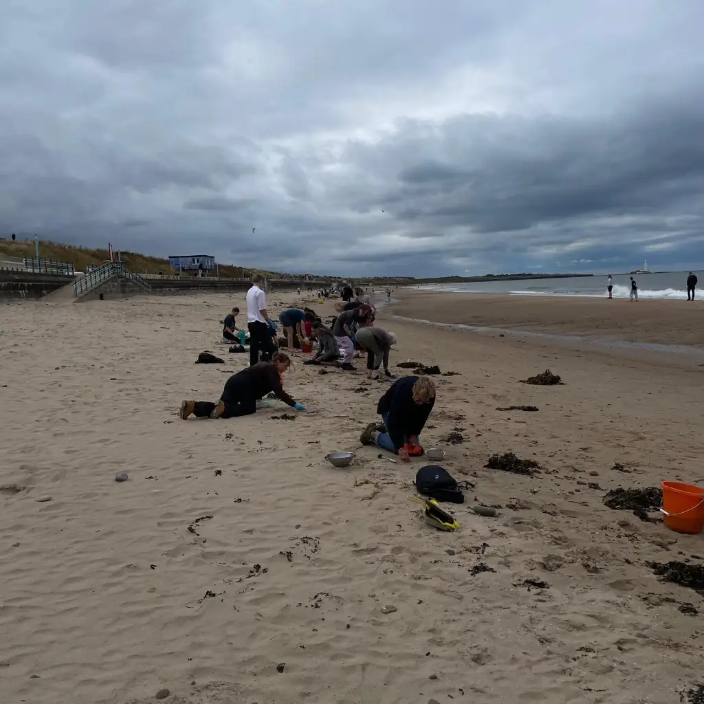 Volunteers sifting sand on an overcast beach with a lighthouse on the horizon