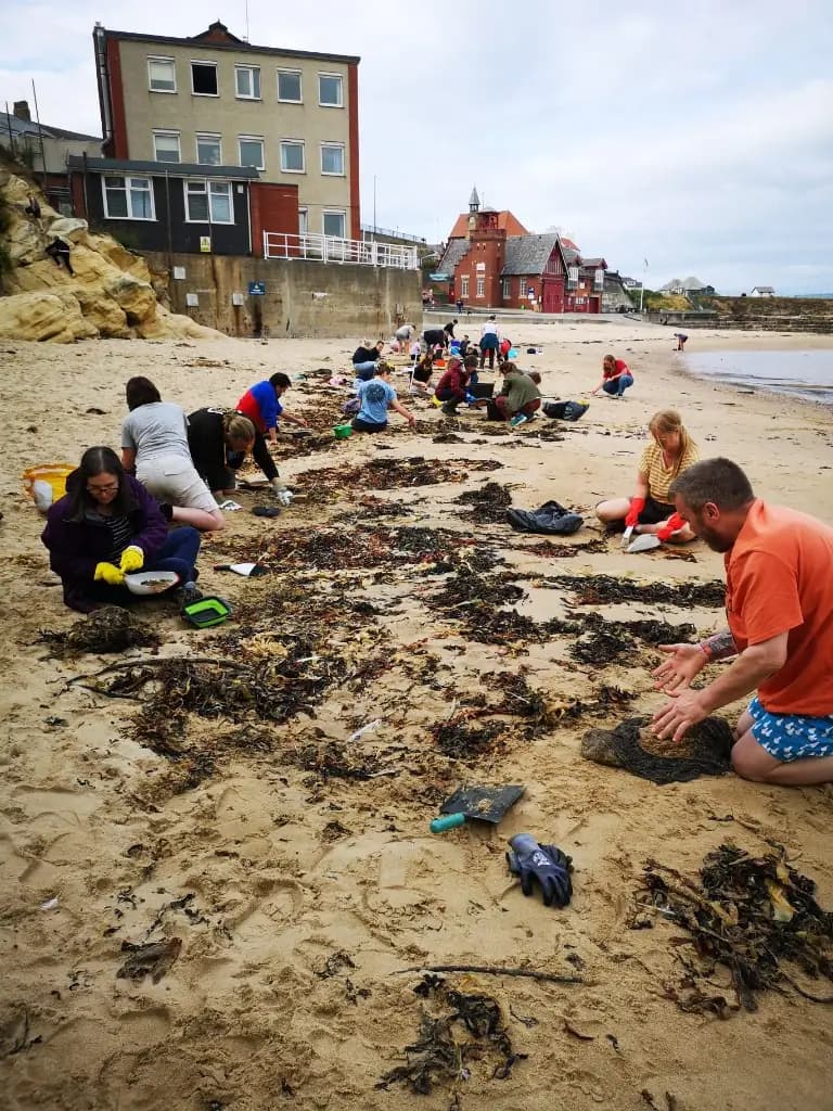 Volunteers kneeling on the beach sifting sand with mesh bags and bowls