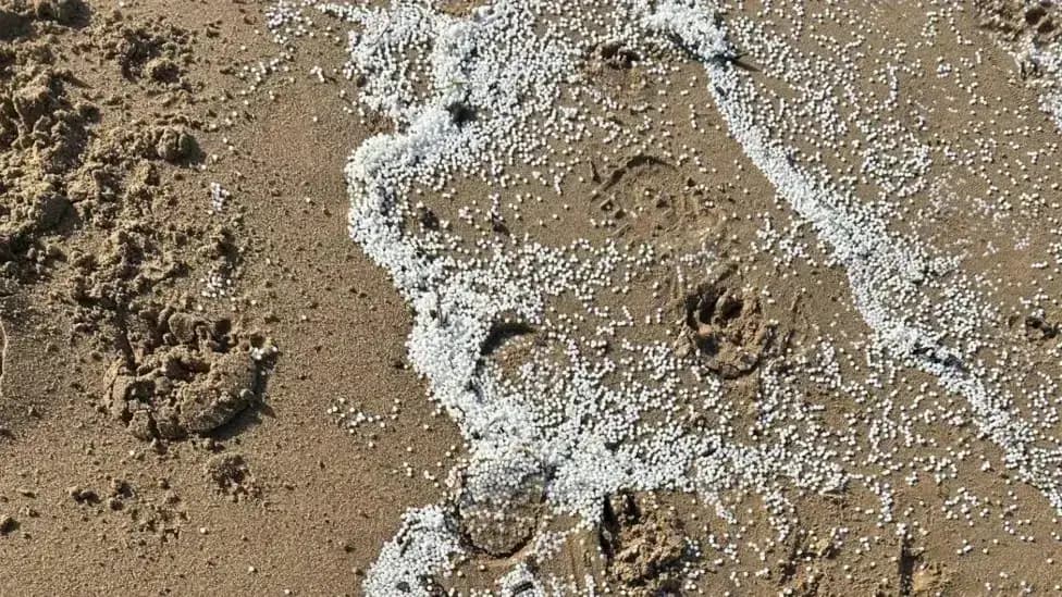 Thousands of small white plastic pellets (nurdles) scattered across beach sand