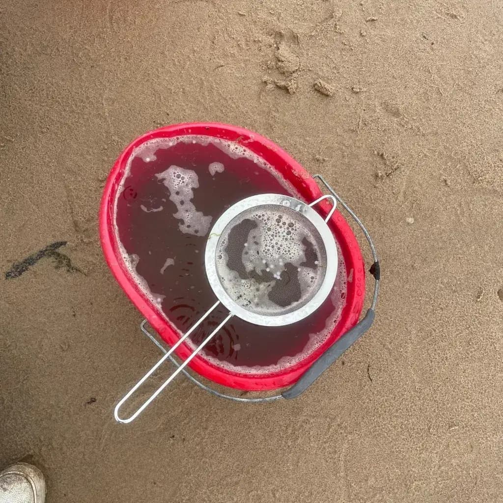 Red bucket of seawater with a metal sieve holding floating white nurdles