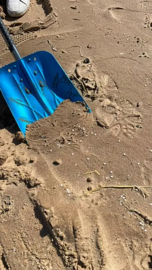 Blue spade scooping sand mixed with white nurdles on the beach